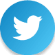 A blue and white twitter bird in front of a green background.