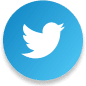 A blue and white twitter bird in front of a green background.