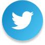 A blue and white twitter bird in front of a green background.